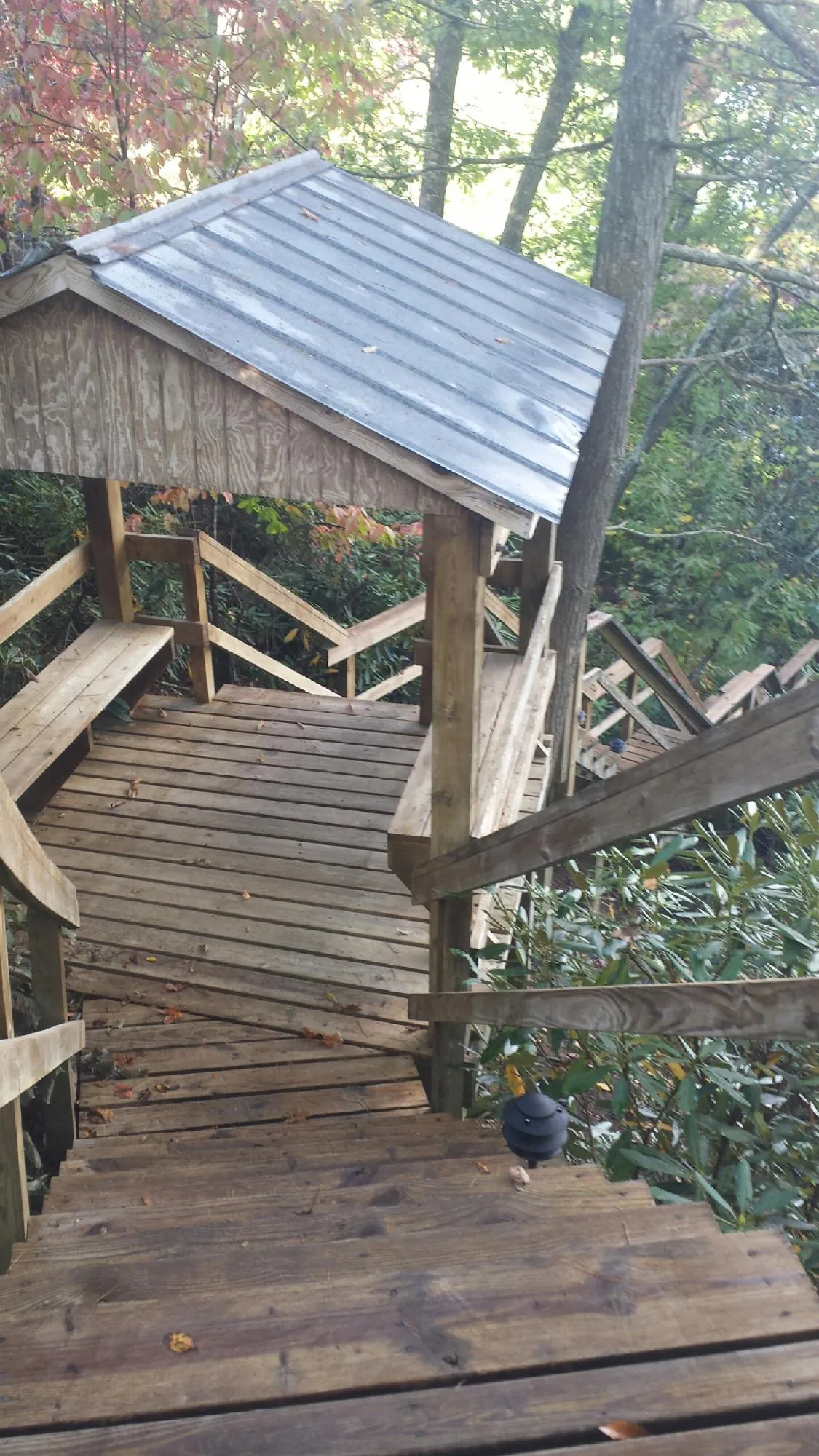 Metal roofed shelter over wooden steps on a wooded walkway — Skylight Repair & Installation work by our crew in Falkland